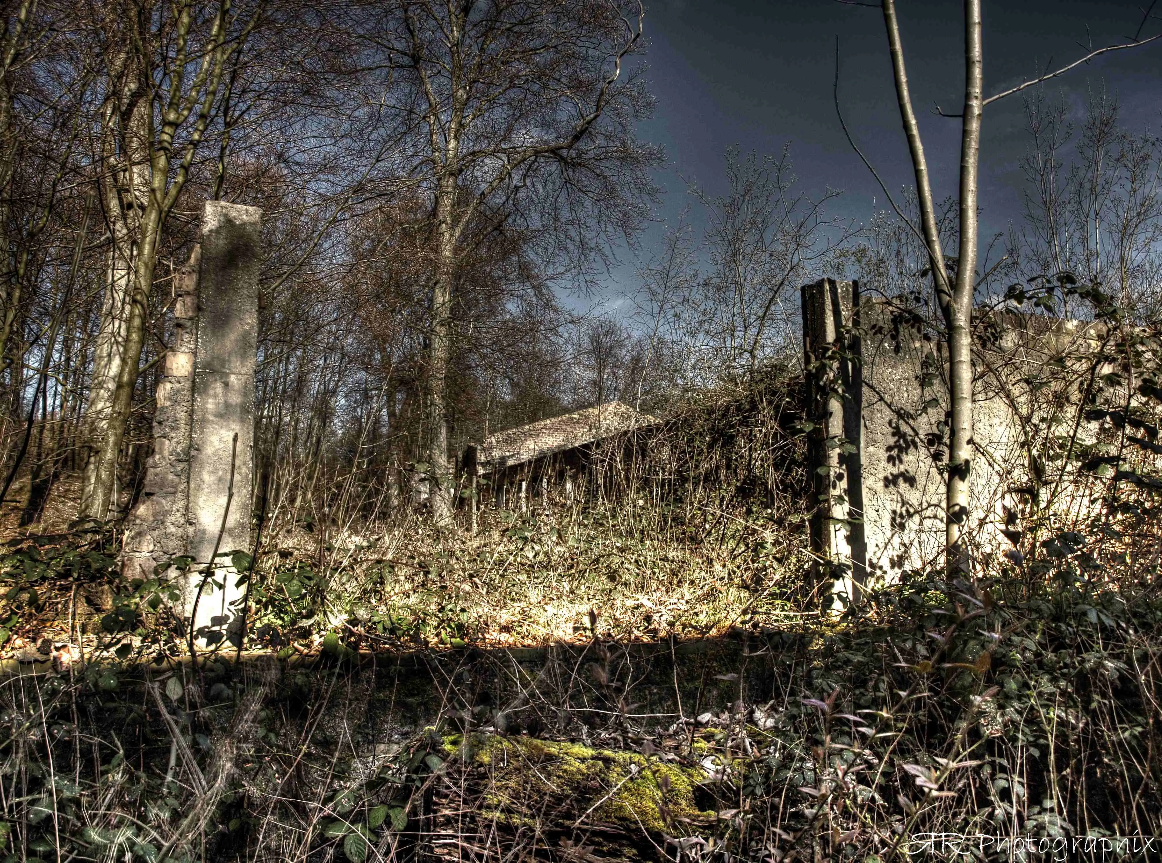 Mobirise Website Builder